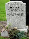 image of grave number 81137